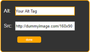 Image Tag Options